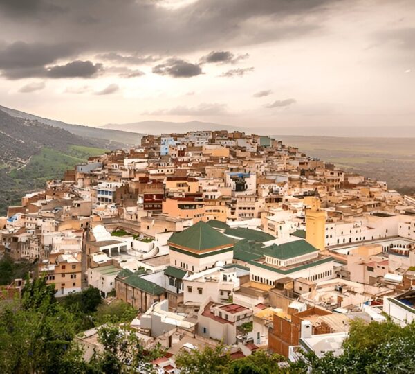 Excursion Volubilis et Moulay Idriss depuis Fès