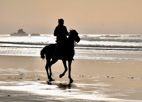 Balade en cheval plage à Essaouira