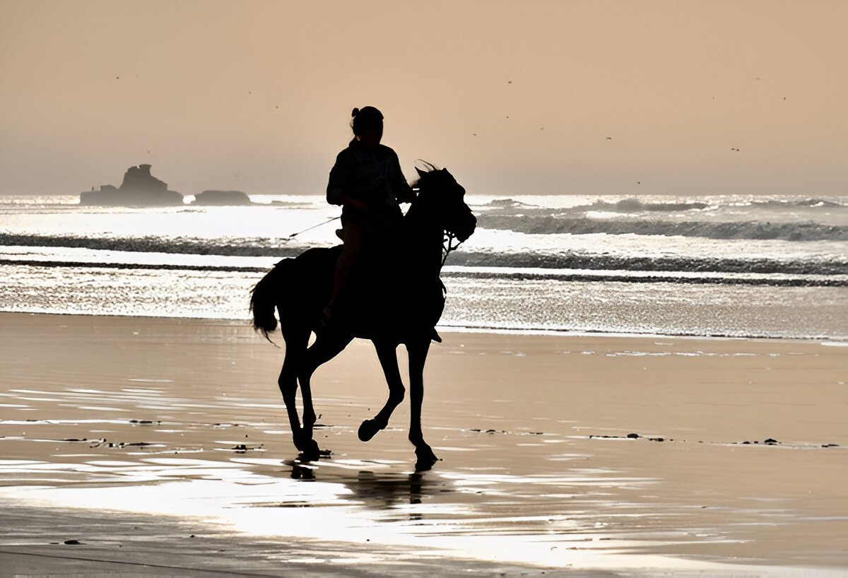 Balade en cheval plage à Essaouira