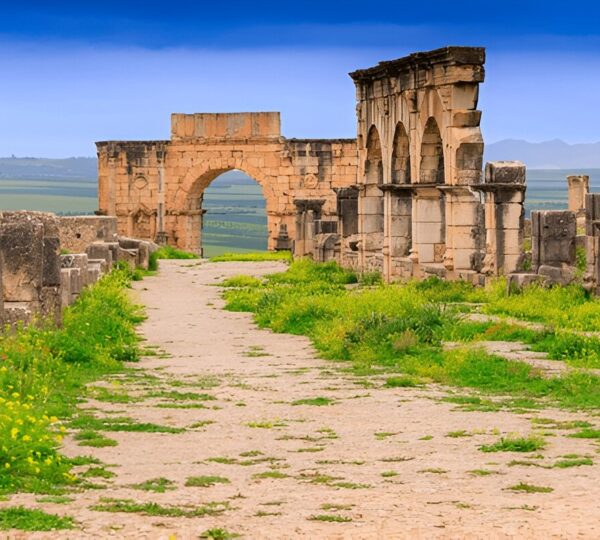 Excursion Volubilis et Moulay Idriss depuis Fès