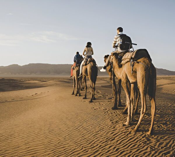 Excursion 2 Jours / 1 Nuit – Désert de Zagora avec Cilyas Adventure