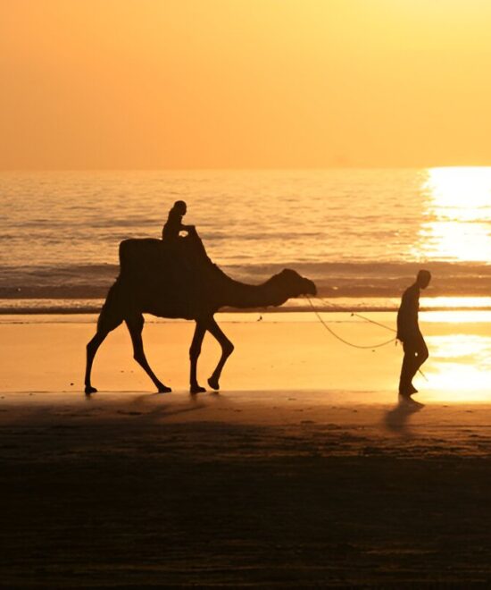 Dromadaire Essaouira: Balade 2 heures en Dromadaire
