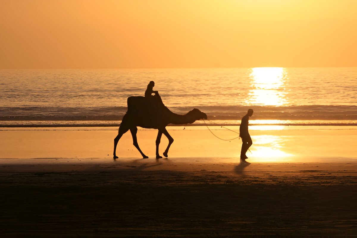 Dromadaire Essaouira: Balade 2 heures en Dromadaire