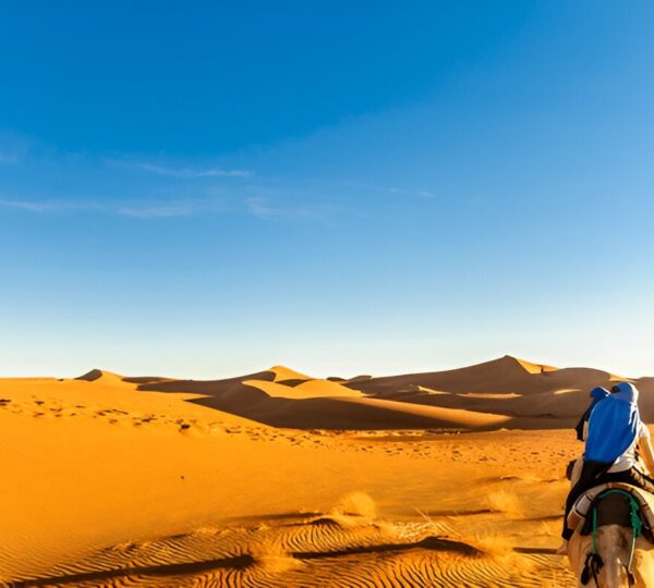 Excursion 2 Jours / 1 Nuit – Désert de Zagora avec Cilyas Adventure