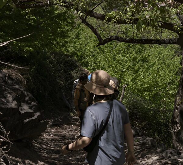Excursion d’une Journée à la Kasbah du Toubkal