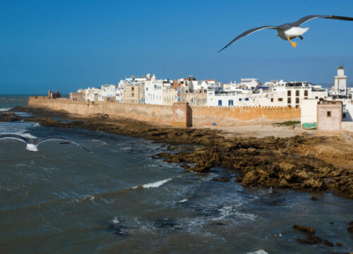 Excursion d’une journée à Essaouira depuis Marrakech avec Cilyas Adventure