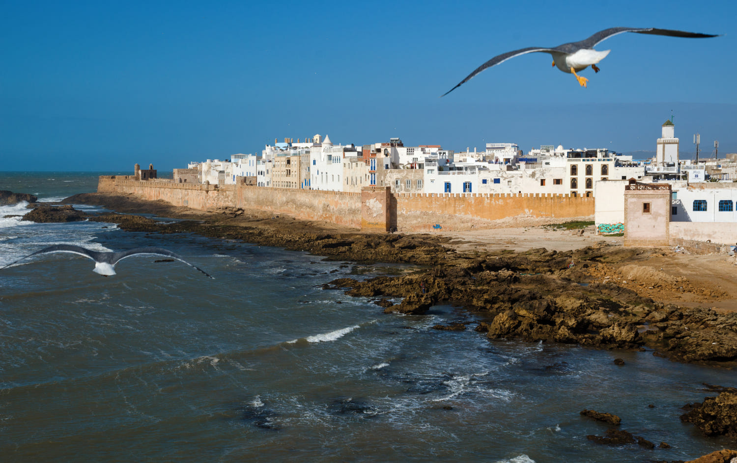 Excursion d’une journée à Essaouira depuis Marrakech avec Cilyas Adventure