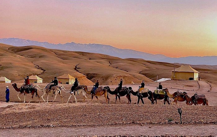 Safari Désert Marrakech : Quad, Dromadaire et Dîner avec Cilyas Adventure