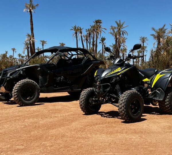 Aventure en Buggy dans la Palmeraie de Marrakech